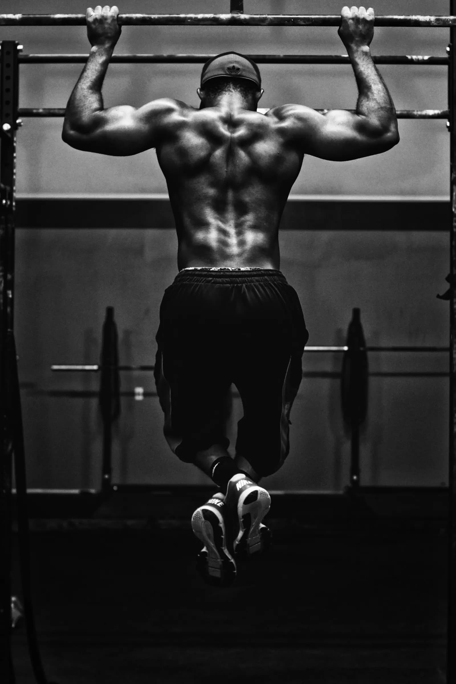 Disciplina